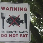 Fish Don't Eat